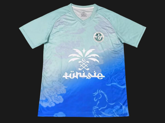 TUNISIA - PASTEL BLUE